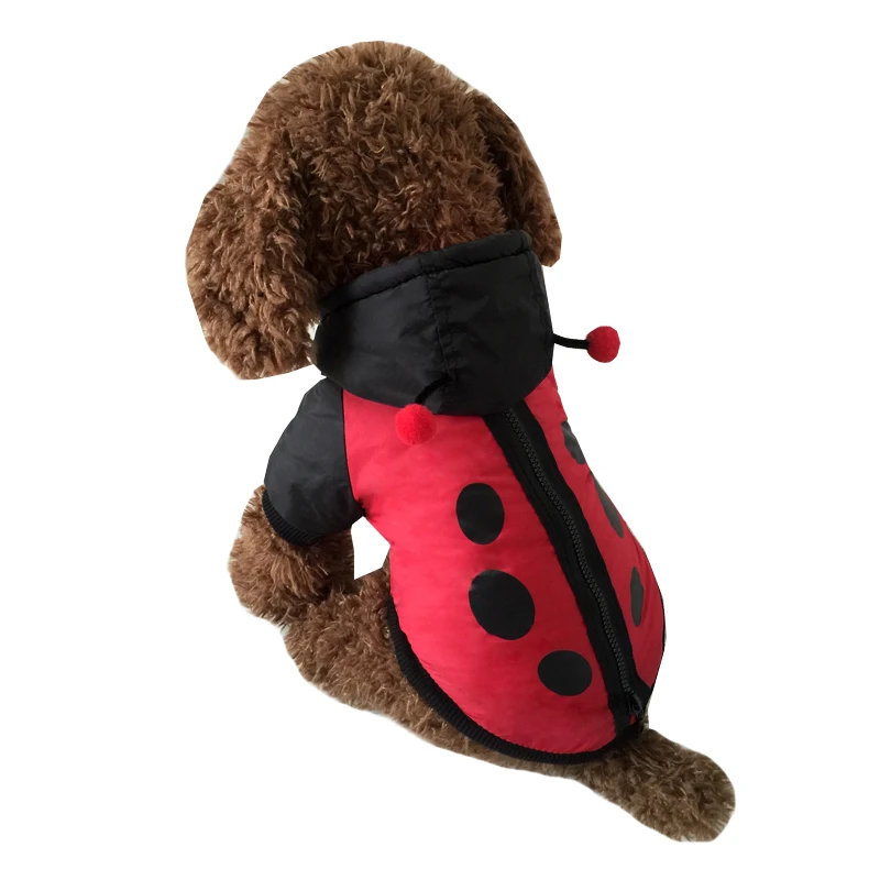 Pet Costumes Dog Jacket Cloth for Dogs Cute Ladybug windbreaker Style Pet Puppy Dog Clothes Teddy Dogs Vip Chihuahua Qiu Dong Outfit