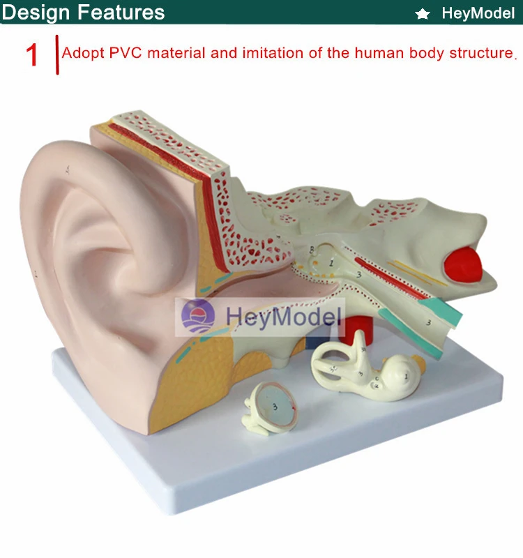 1.PVC_