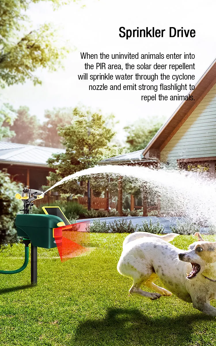 1 (5)