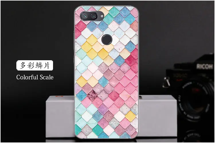  Colorful Scale