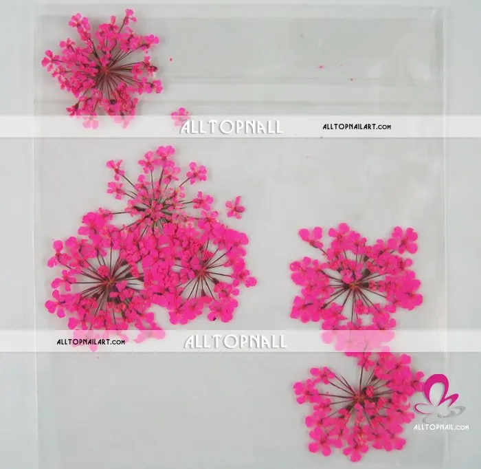 300 пакеты смешивать стили Настоящее цветок сухих цветов Природные ногтей сухой цветок для ногтей украшения