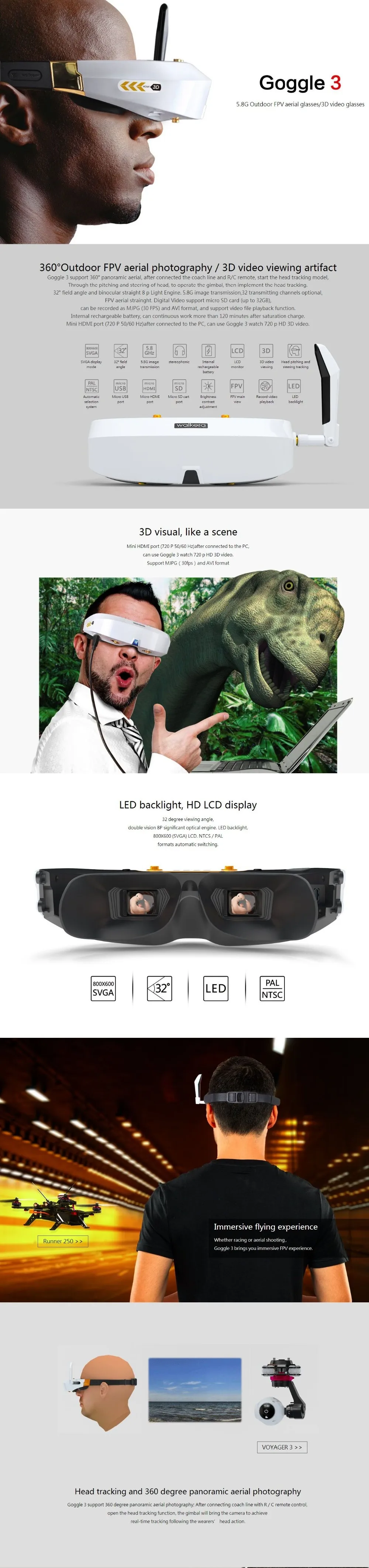 Goggle 31