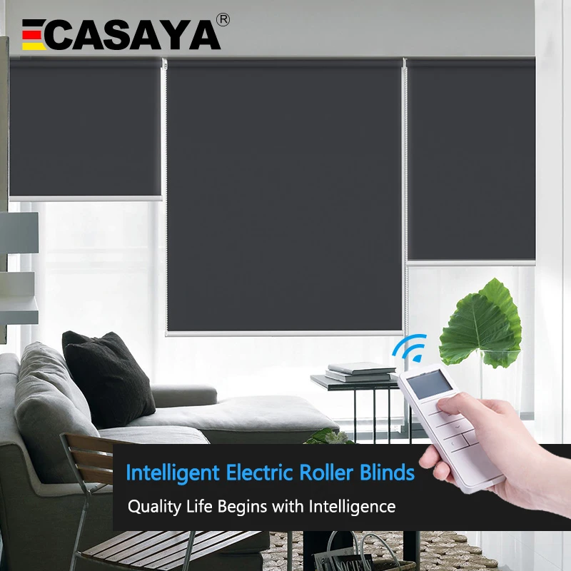 motorized blinds