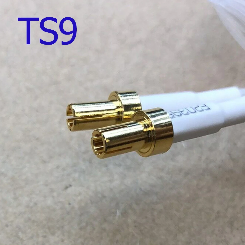 TS9