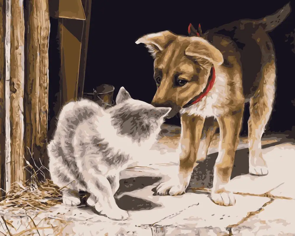 Днем рождения, смешные рисунки собак и котов