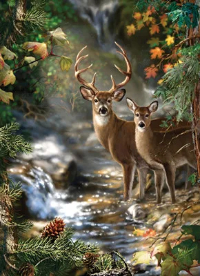 

New DIY Needlework Kits Printed Pattern 100% Pure Cotton R Thread Cross Stitch Sets Deer by stream
