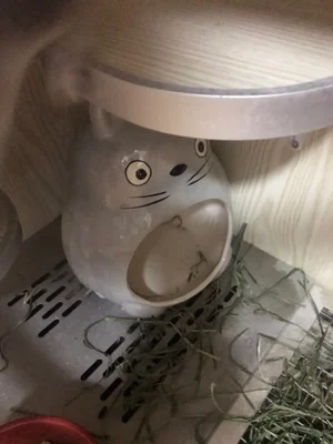 TB23eUYyZyYBuNkSnfoXXcWgVXa_!!0-rate.jpg_400x400