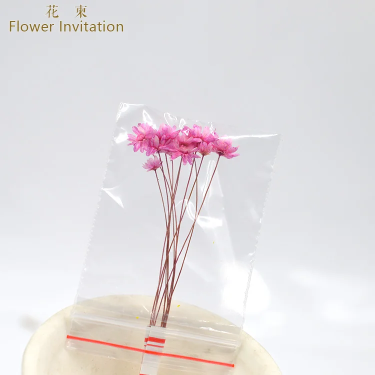 Цветок приглашение Бразилия звезда цветок 10 шт_ Сделай Сам ручной работы Смола цветок материал растения сушеные цветы - Цвет: pink