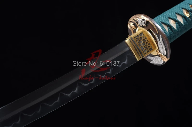 hs18806.jpg