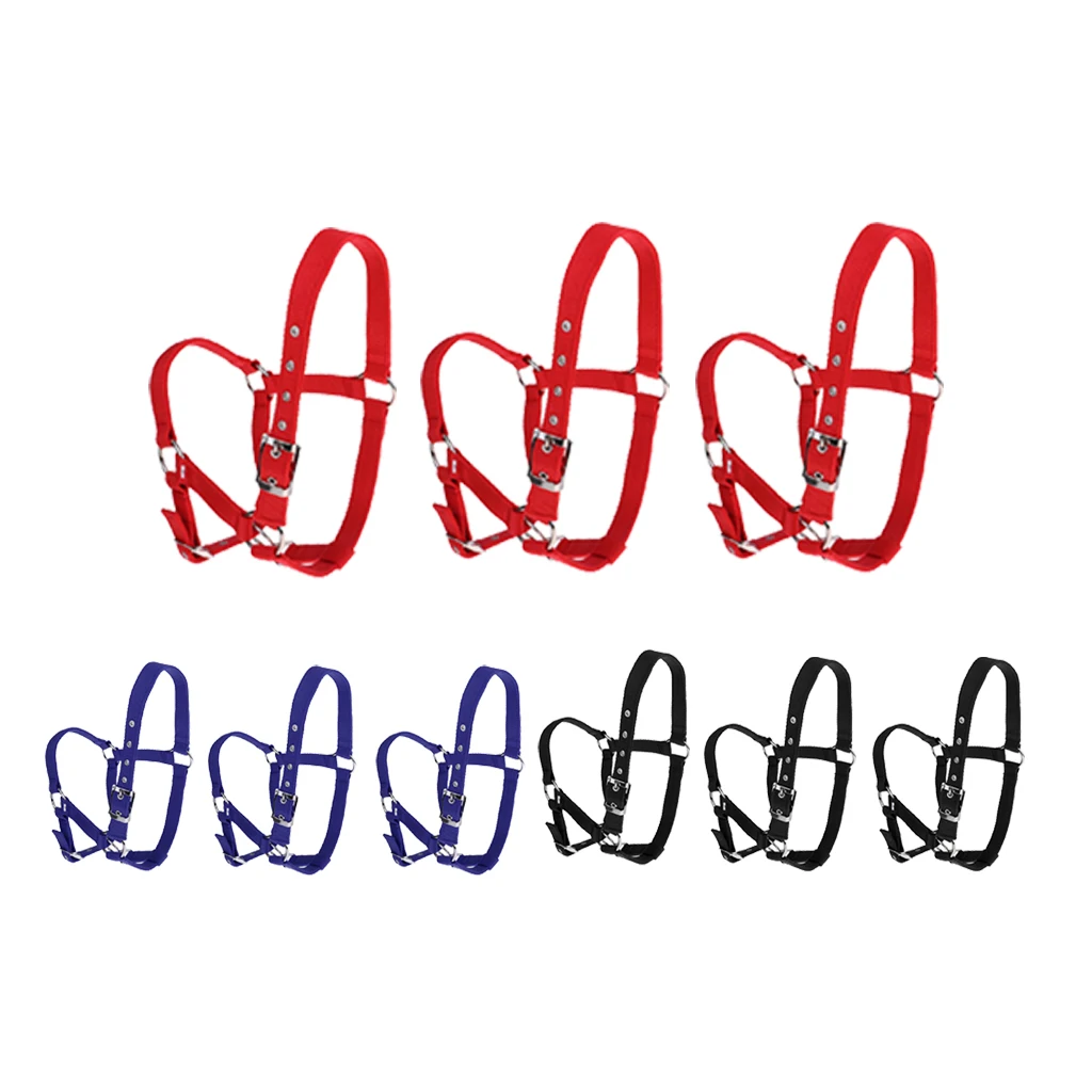 Strong and Durable Adjustable Webbing Equestrian Horse Halter Horse Riding Wear Adjustable Equestrian Horse Halter 