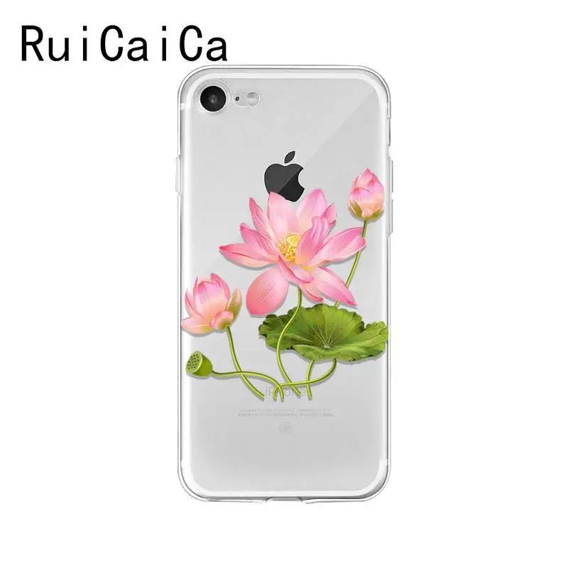 flower plant peony rose sunflower Lotus