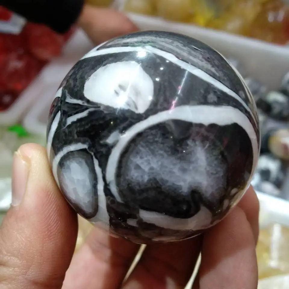 

Shell Fossil Jasper Quartz Matrix Crystal Healing Sphere Ball Rock Reiki Stone 55mm