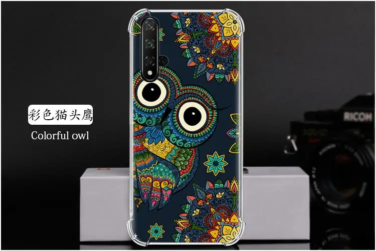 彩色猫头鹰 Colorful owl