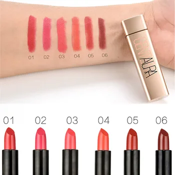 

New Arrival Women Lipstick Waterproof Moisturizer Long Lasting Matte Lip Stick Gift HJL2018 Cosmetic Beauty Makeup
