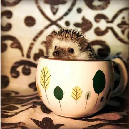 

5D art Diamond embroidery Mosaic Diamond Rhinestones Cross stitch Home Decor DIY needlework Diamond drawing Cup hedgehog