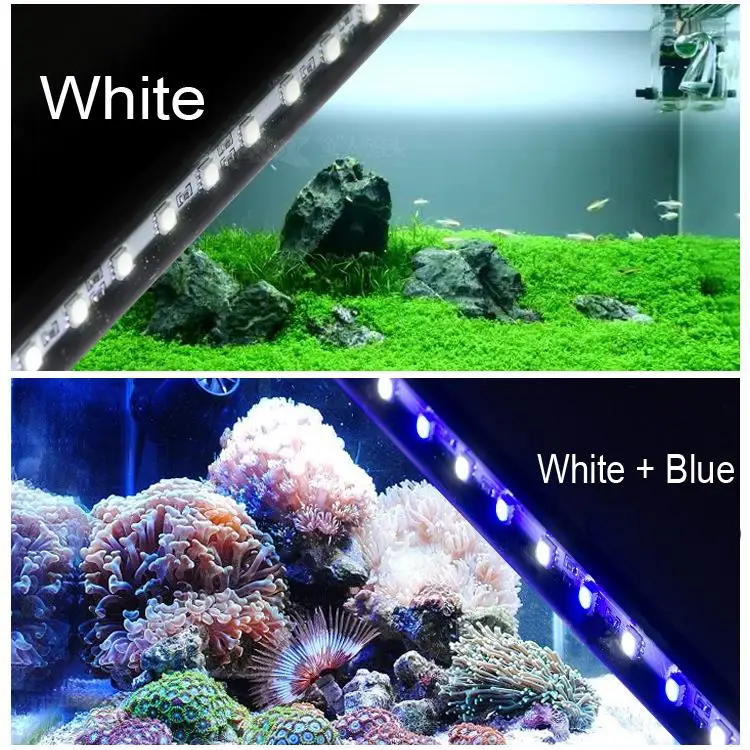 aquarium fish tank white