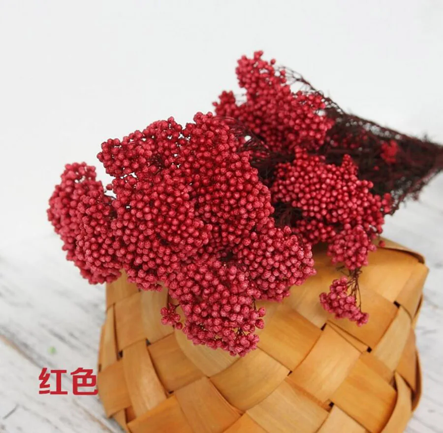 永生米花(爱考拉电子)-红