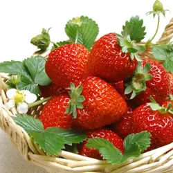 ZLKING 100 шт. красный клубника многолетний органические бонсай фрукты для посадки в сад