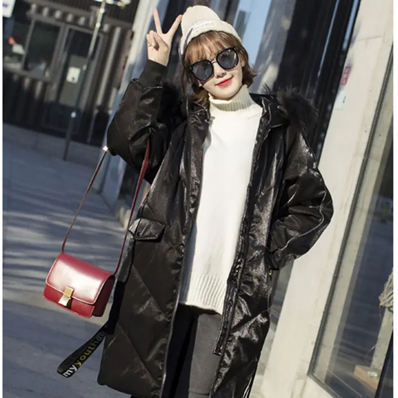 Winter Jacket Women 2018 Korean Style Fashion Fur Collar