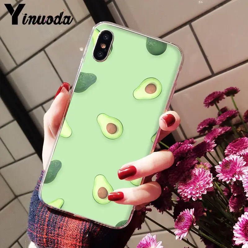 Avocado