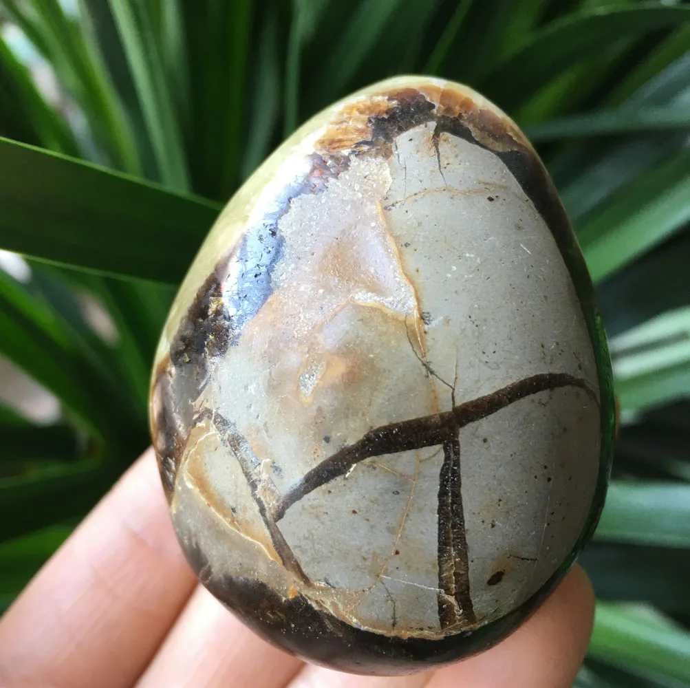 124 г натуральный Septarian geode Кристалл минеральные образцы камень фэншуй