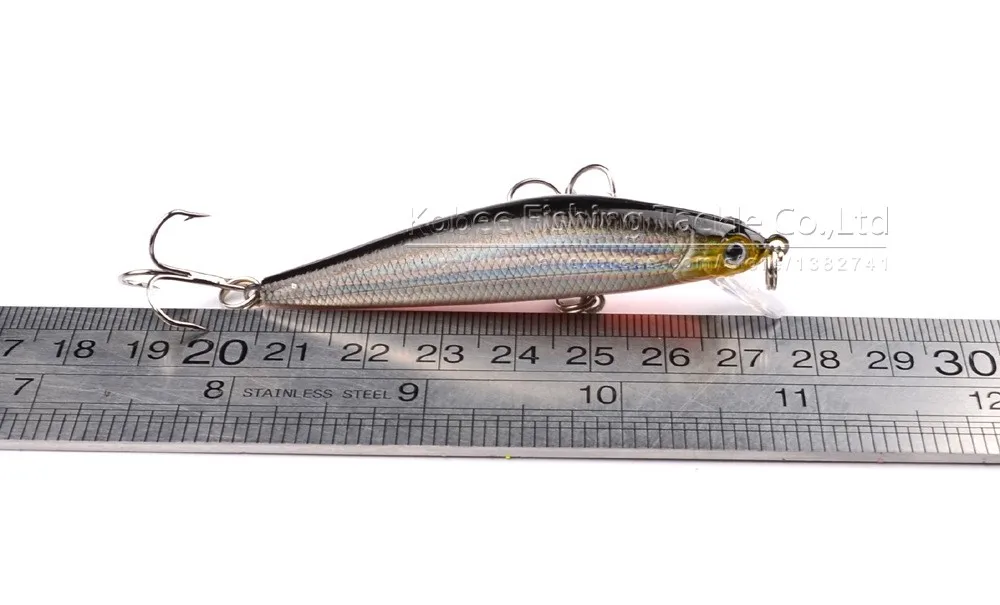 minnow (5)