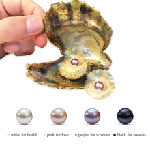 Hongye Pearl Oyster разноцветные бусины в виде риса пожелания жемчуг Oyster DIY подарки на день рождения случайный цвет Мидия модные женские аксессуары