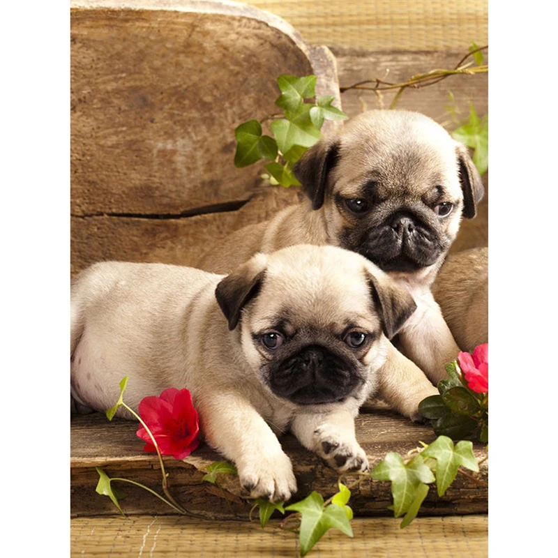 

NEW Hot Sale Diamond Painting 2 Pug Puppies Full Square/Round Diamond Embroidery Picture Of Rhinestones Diamond Mosaic Dropship
