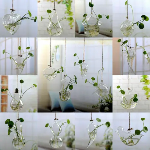 Flower Hanging Vase Glass Planter Plant Terrarium Container Home Wedding Decor Air Planter Decoratives Vase