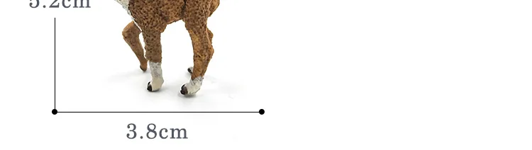 -10--DW-M-MY89-114-120_56