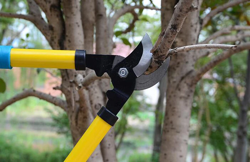 Садовые ножницы из высокоуглеродистой стали со скользкой ручкой садовые ножницы с толстыми ветвями садовые инструменты бонсай принадлежности