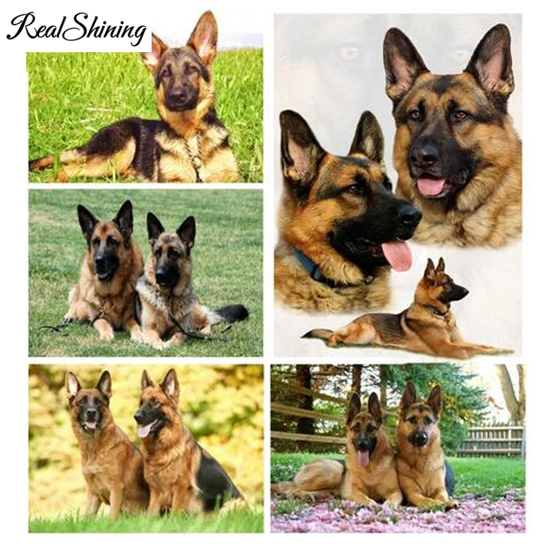 

5D DIY Diamond Painting Cross Stitch german shepherd rottweiler Dog Diamond Embroidery Full Square Drill Home Decor FS4129