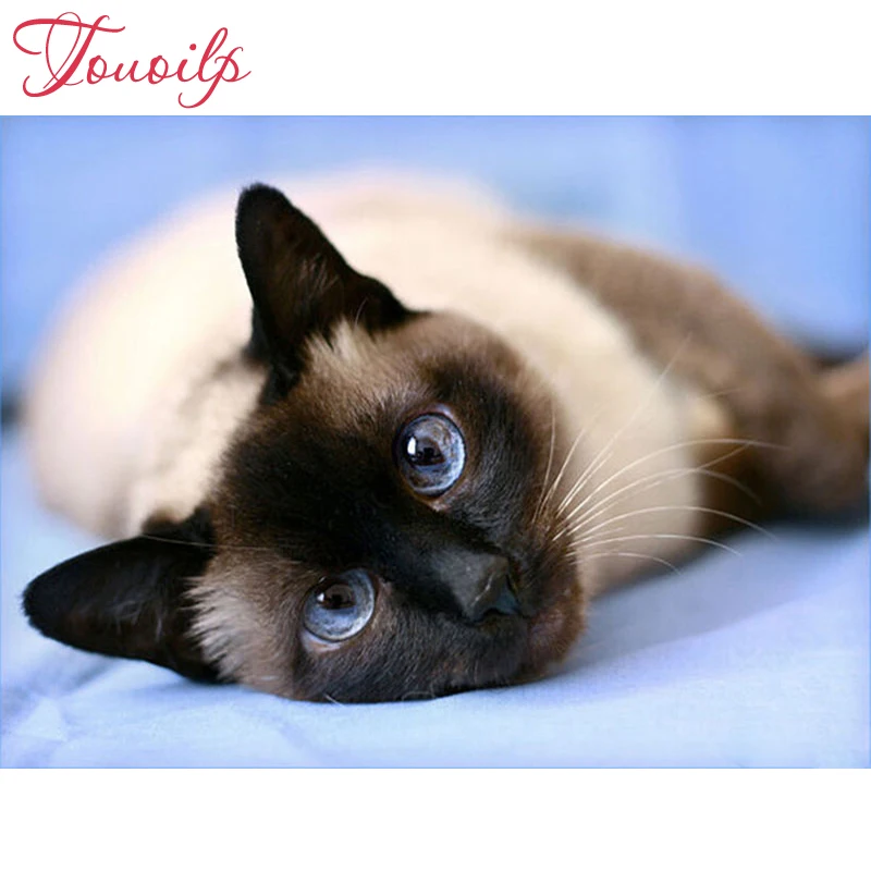 

Full spuare&round Diamond Embroidery cross Stitch Handicrafts Siamese cat unfinished Indoor Decor diy 5D mosaic Diamond painting