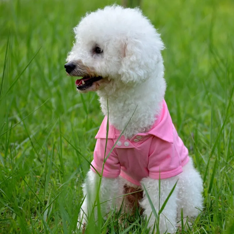 Милый Летний жилет для щенка, маленькая собачка, кошка, рубашка поло хлопчатобумажная одежда для домашних питомцев, костюм, одежда, футболка, 5 размеров, 6 цветов