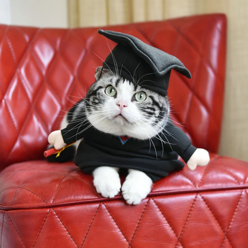 Забавный Ph. D. Костюмы для собак и кошек карнавальный костюм с очками одежда