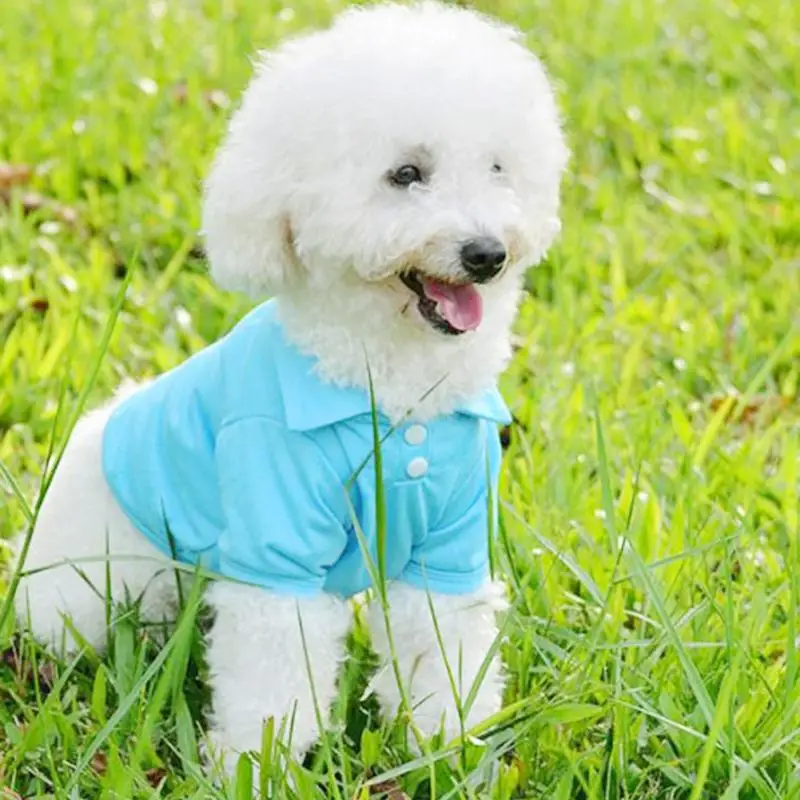 Летняя футболка поло для щенка, маленькая собака, кошка, одежда для домашних животных, костюм, одежда, футболка