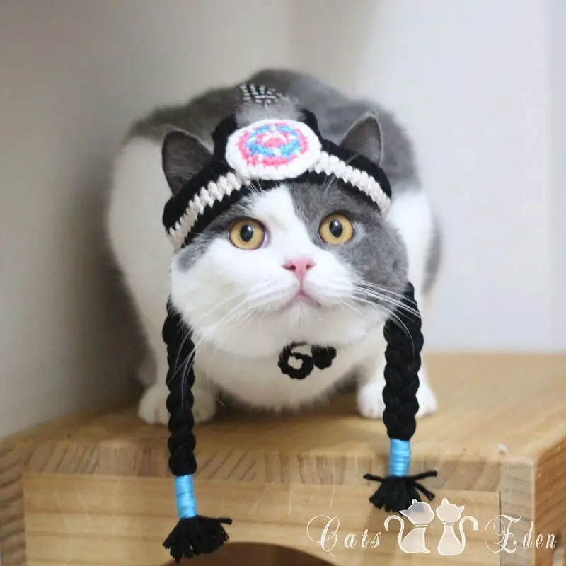 

[MPK Store] Indian Headwear for Cats, Pet Costume, Kitten Headwear with Ponytails