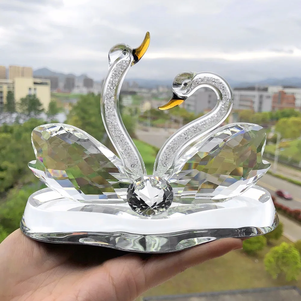 swan-35