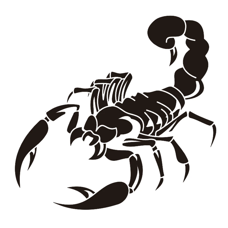 Hot Sell Car Sticker Scorpion Reflective Car Styling Vinyl Decal Sticker For Cars Acessories Decoration Black White Car Sticker Sticker For Carvinyl Decals Stickers Aliexpress