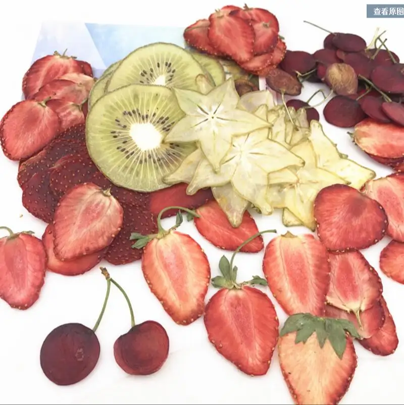 

22pcs Dried Pressed Mixed Exopy Fruits Slices Plant Herbarium For Jewelry Photo Frame Phone Case Craft DIY Making Accessories