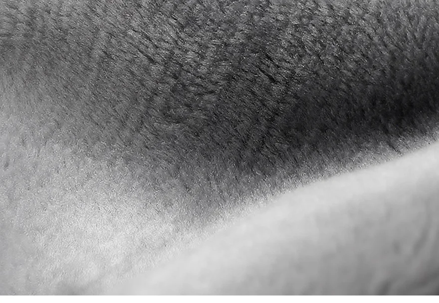 -1_12