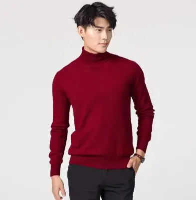 Turtleneck Cashmere Sweater Men Autumn winter clothes Classic Knitwear Robe Pull Homme Pullover Men sweaters mens hooded cardigan Sweaters