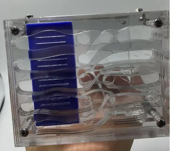 ant-housing (3)