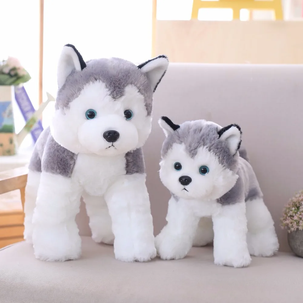 

Creative Chihuahua dog Plush toys Imitation dog doll Cartoon birthday gift 40cm