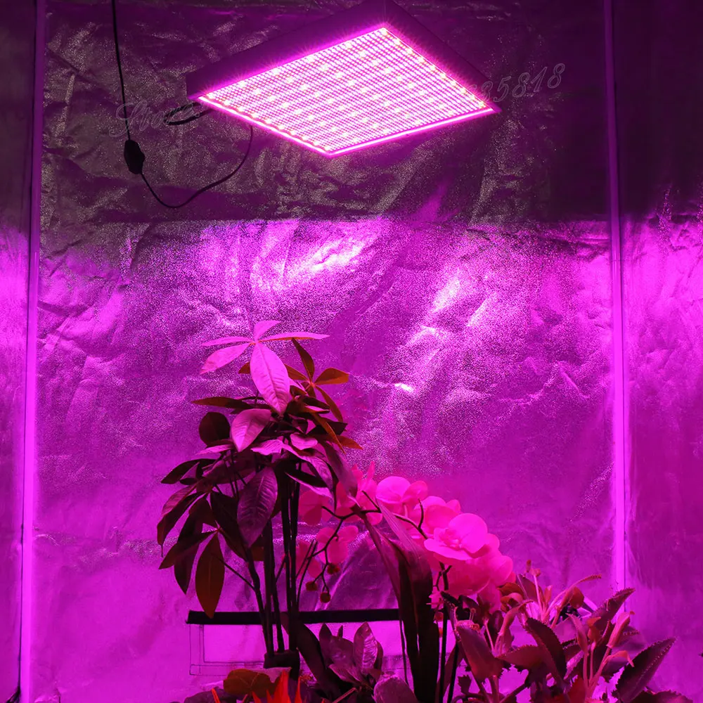 8 шт затемнения светодиодный светать 200 W AC85-265V полный спектр светодиодный Фито лампы для комнатных растений цветник теплица Vegs гидропоники