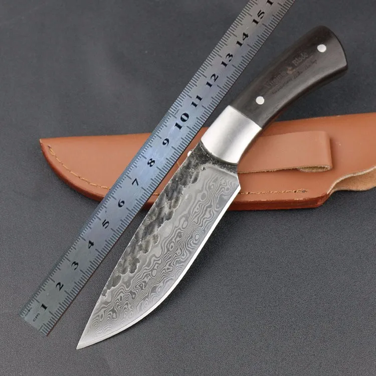 2955541917_1044936197