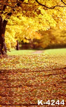 

Photo Background Autumn Forest Wedding Photo Backdrops Outdoor Vinyl Children Photography Backdrops For Photo Shoot