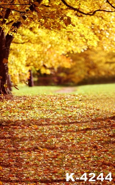 Photo Background Autumn Forest Wedding Photo Backdrops Outdoor Vinyl Children Photography Backdrops For Photo Shoot Background Aliexpress Photo Background Autumn Forest Wedding Photo Backdrops Outdoor Vinyl Children Photography Backdrops For Photo Shoot Background Aliexpress
