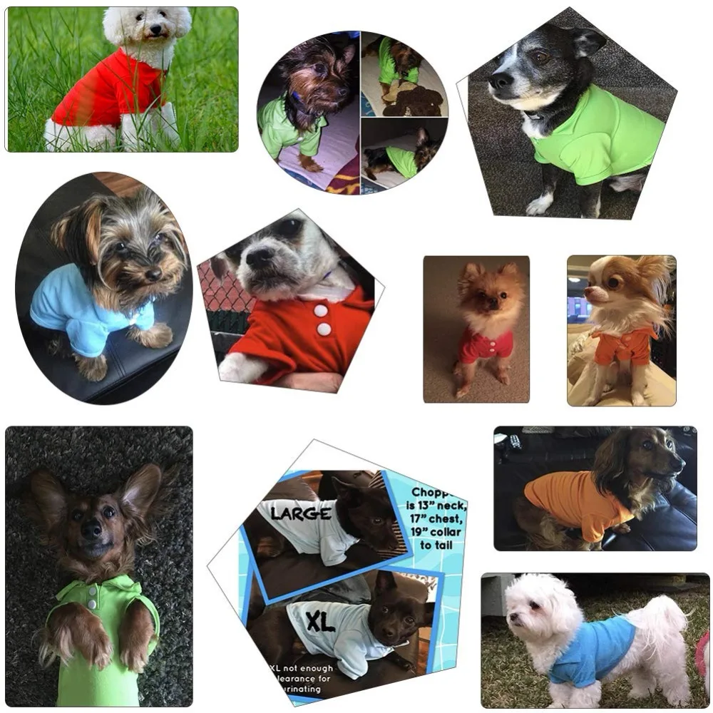 71LeRZfjgML._SL1001_