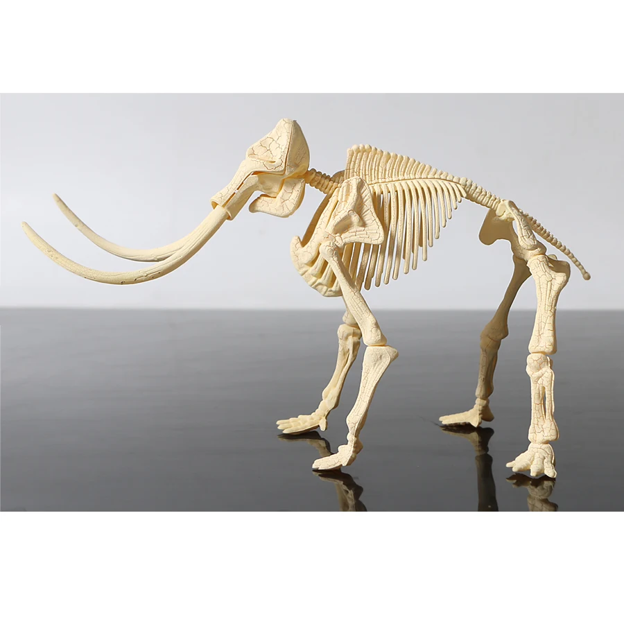 plastic skeleton toys